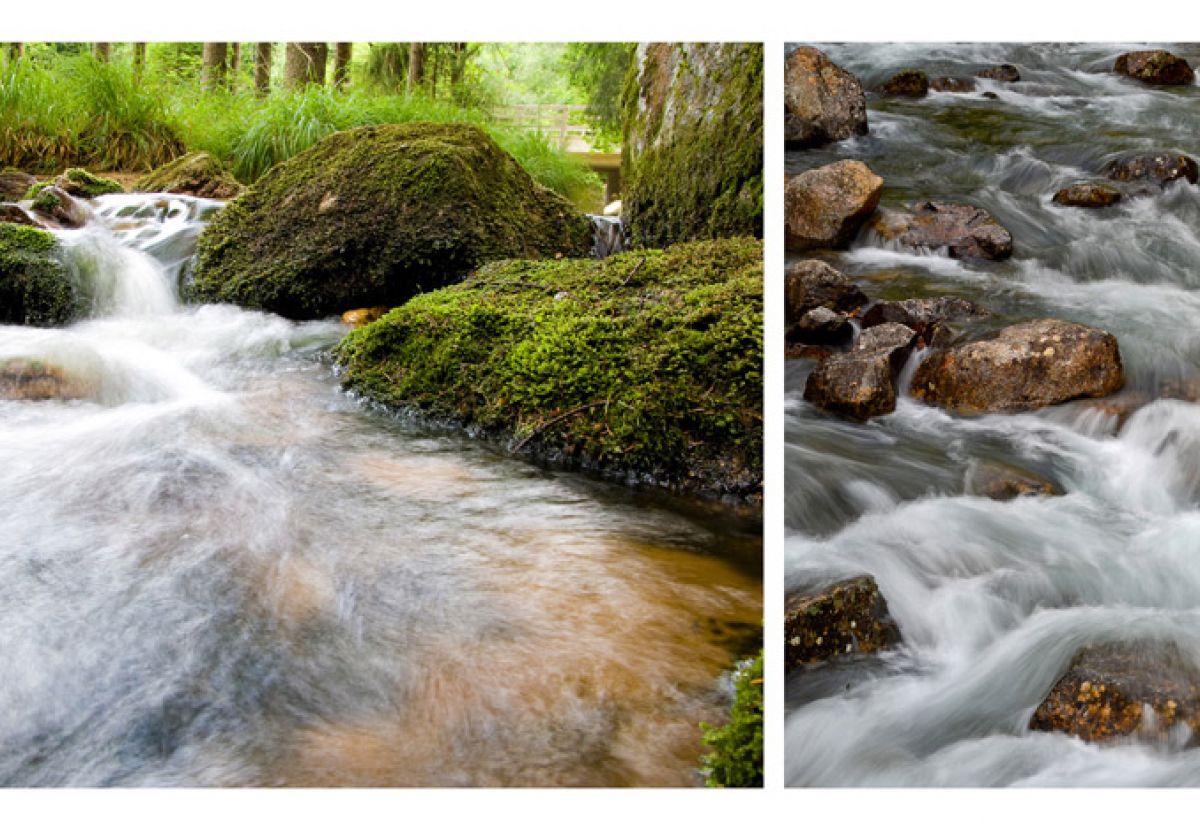 bier wasser
