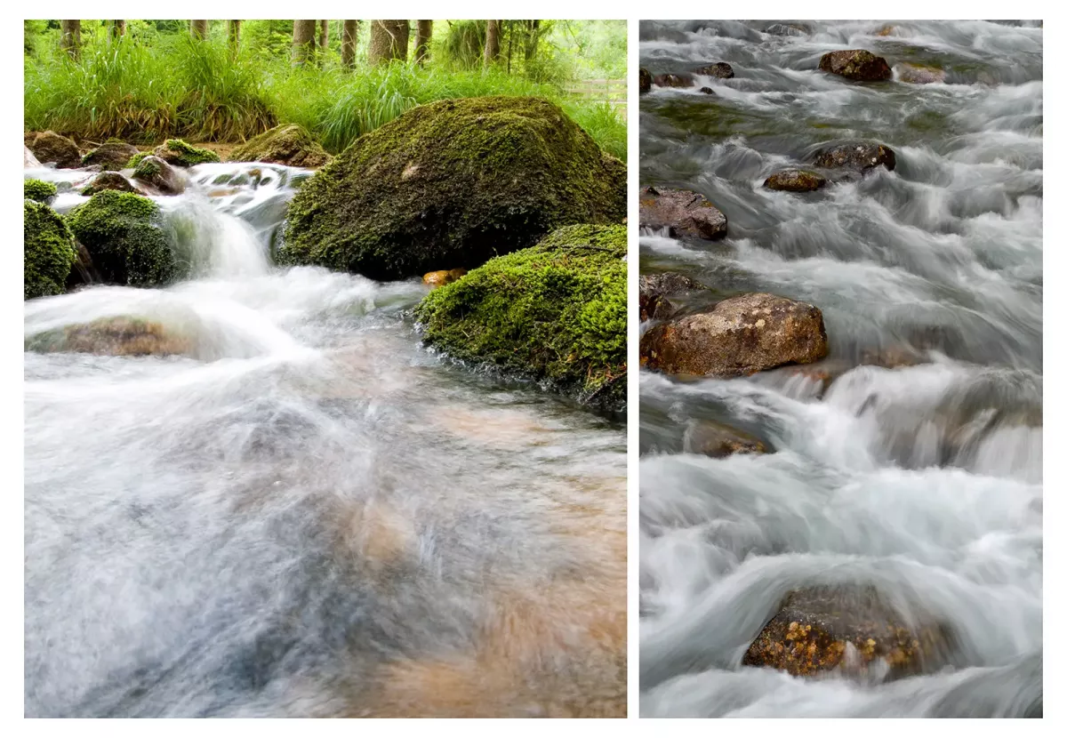bier wasser